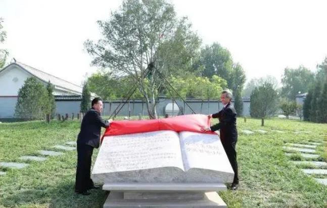 中朝友谊树.jpg