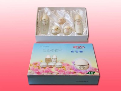 5531化妆品一套