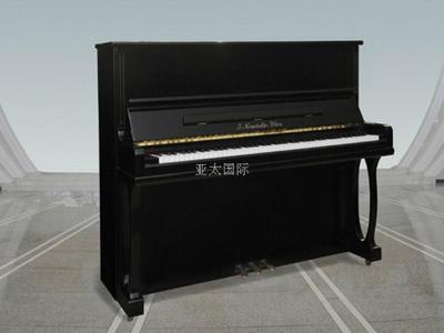 123型钢琴AYE-J.NEMETSCHKE WINE